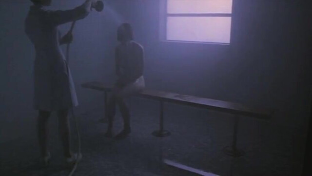 Lili Taylor nude - I Shot Andy Warhol (1996)