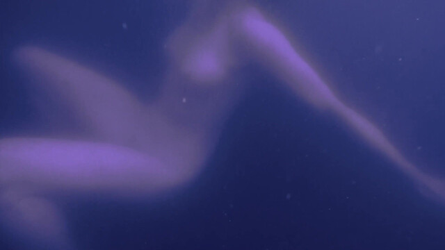 Llewellyn Reichman nude - Immerhin: Die Kunst, die Kunst (2024)