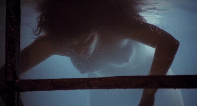 Cecilia North nude, Lillian Cameron nude, ect - The Warrior and the Sorceress (1984)