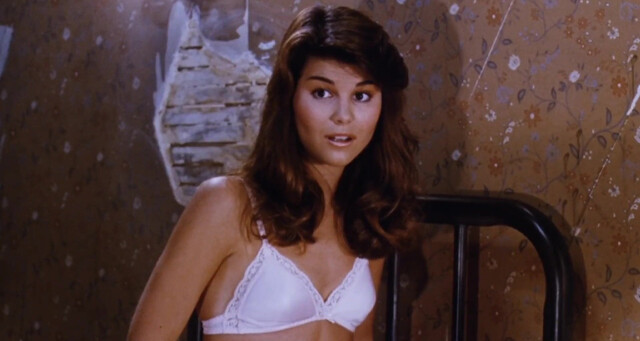 Lori Loughlin sexy - The Night Before (1988)