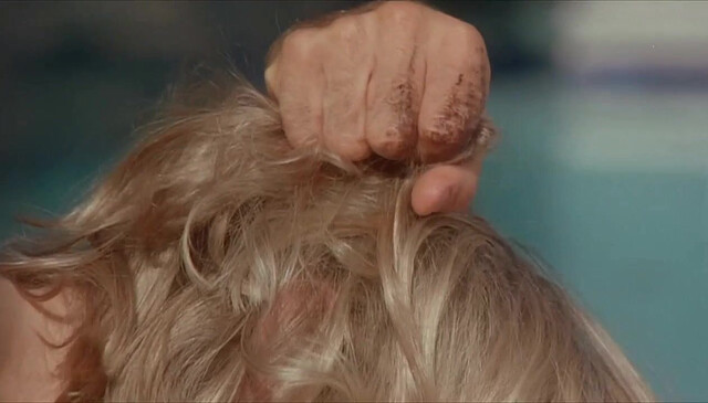 Linda Hoffman nude - The Dentist (1996)