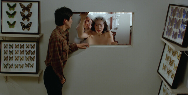 Kozue Tanaka nude -- Female Leopard (1985)