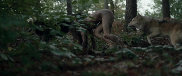 Jessica Reynolds nude, Marie Jung nude - The Wolf, the Fox and the Leopard (2025)