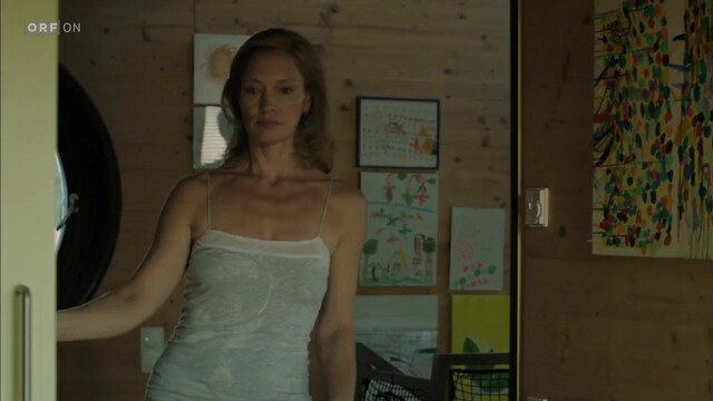 Katja Weitzenböck sexy, Andrea Brucker sexy - Paul Kemp - Alles kein Problem s01e01, e03, e04, e05, e12 (2013)