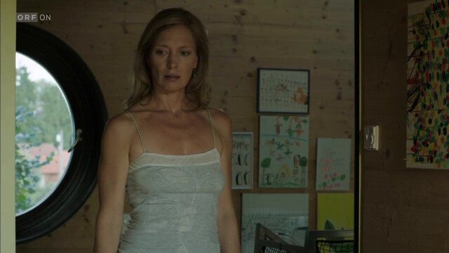 Katja Weitzenböck sexy, Andrea Brucker sexy - Paul Kemp - Alles kein Problem s01e01, e03, e04, e05, e12 (2013)