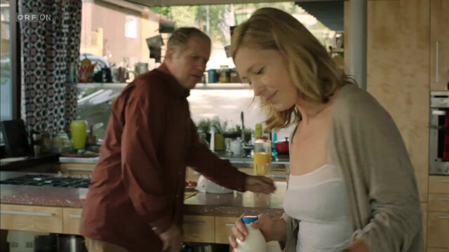 Katja Weitzenböck sexy, Andrea Brucker sexy - Paul Kemp - Alles kein Problem s01e01, e03, e04, e05, e12 (2013)