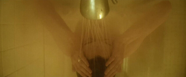Dakota Johnson nude, Anne Hathaway nude - Verity (2026)