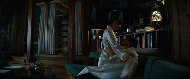 Dakota Johnson nude, Anne Hathaway nude - Verity (2026)