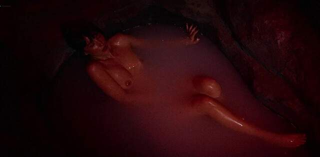 Dakota Johnson nude, Anne Hathaway nude - Verity (2026)