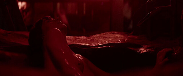 Dakota Johnson nude, Anne Hathaway nude - Verity (2026)