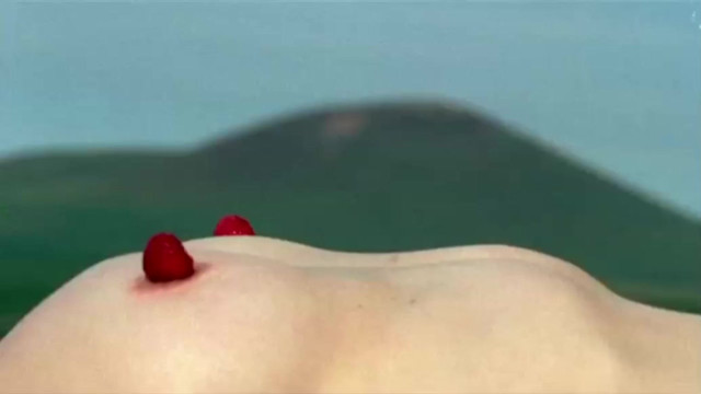 Sylvie Etcheto nude - Celeste (2005)