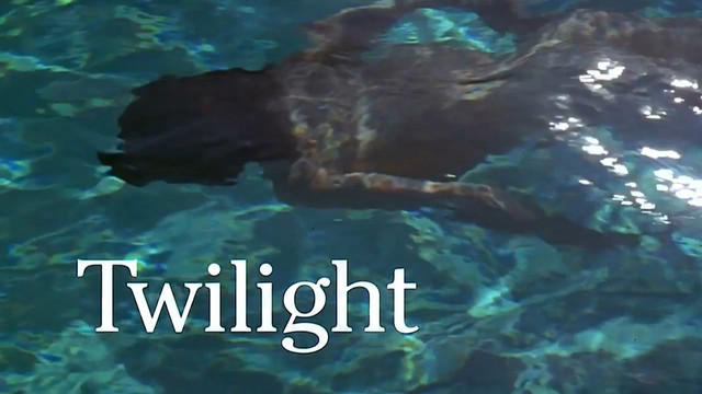 Susan Sarandon nude – Twilight (1998)