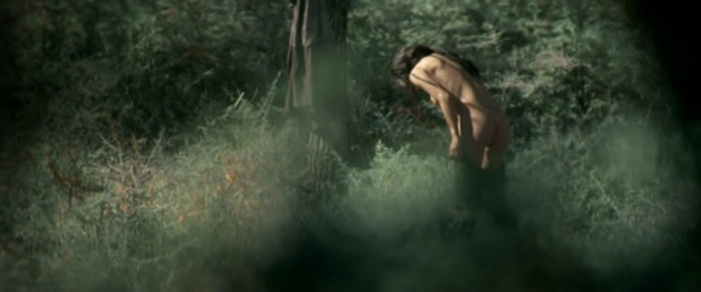 Mylene Jampanoi nude - Valley of Flowers (2006)