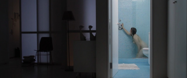 Lena Dunham nude – Tiny Furniture (2010)