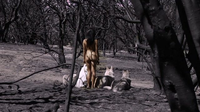 Nude Video Celebs Nicole Branch Nude Gravitate 2014 