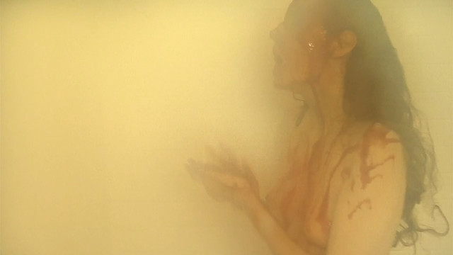 Kate Lyn Sheil nude - Silver Bullets (2011)
