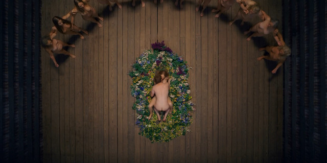 Isabelle Grill nude - Midsommar (2019)