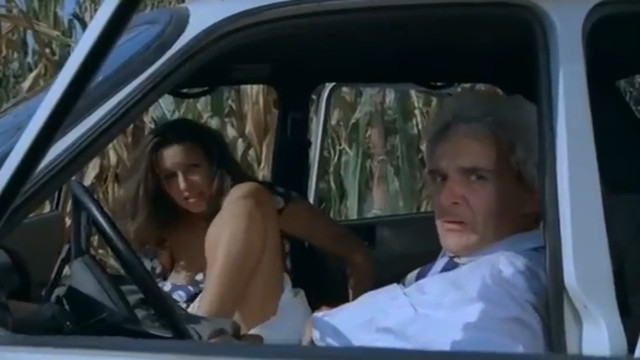 Oana Pellea nude - Vulpe - vanator (1993)