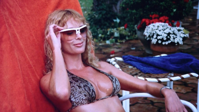 Shelley Taylor Morgan nude, Suzanne M. Regardm nude, Lori Sutton nude, Lorraine Michaels nude - Malibu Express (1985)