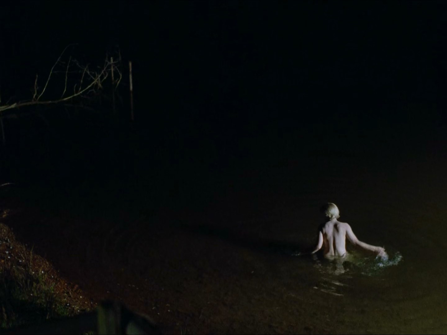 Patricia Arquette nude - Wildflower (1991)