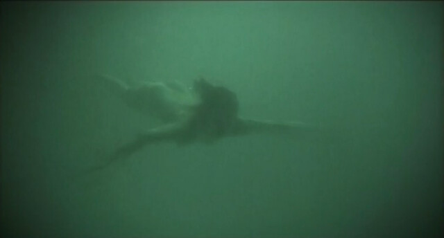 Suzan Anbeh nude - Aquarios (2001)