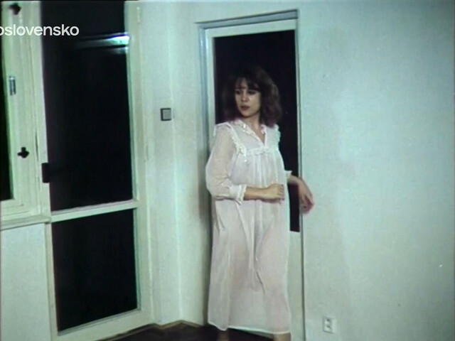 Zora Kerova (Zora Ulla Kesslerova) nude - Krehke vztahy (1979)