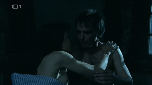 Veronika Kubarova nude, Veronika Gajerova nude - Divka a kouzelnik (2008)