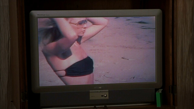 Carmen Electra nude, Tara Reid sexy, Molly Shannon sexy - My Boss's Daughter (2003)