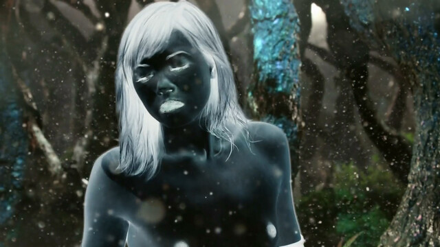 Victoria Diamond nude, Sylvie Moreau nude - Cochemare (2013)