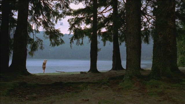 Brianna Brown nude – Timber Falls (2007)