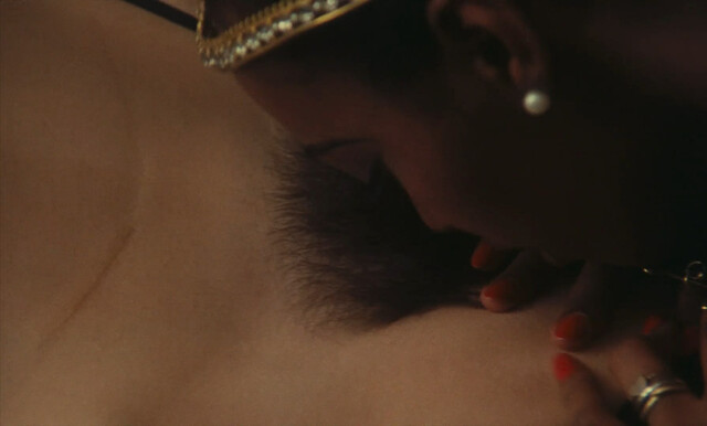 Dayle Haddon nude, Marie-Christine Deshayes nude, Vibeke Knudsen nude, Nicole Seguin nude, Ylva Setterborg nude – Madame Claude (1977)