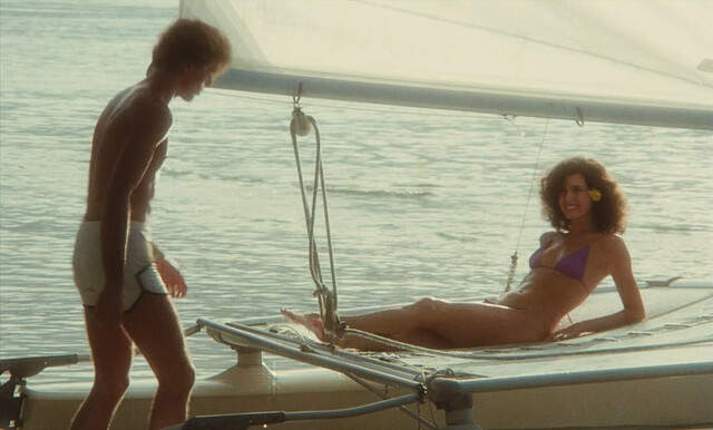 Dayle Haddon nude, Marie-Christine Deshayes nude, Vibeke Knudsen nude, Nicole Seguin nude, Ylva Setterborg nude – Madame Claude (1977)