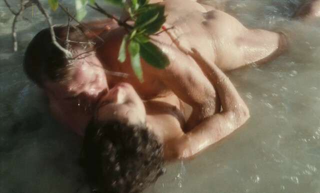 Dayle Haddon nude, Marie-Christine Deshayes nude, Vibeke Knudsen nude, Nicole Seguin nude, Ylva Setterborg nude – Madame Claude (1977)