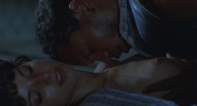 Silvana Gallardo nude, Robin Sherwood nude, Melody Santangello nude, Leslie Graves nude – Death Wish II (1982)