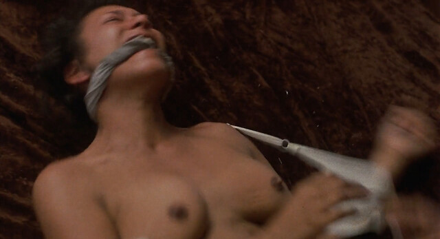 Silvana Gallardo nude, Robin Sherwood nude, Melody Santangello nude, Leslie Graves nude – Death Wish II (1982)