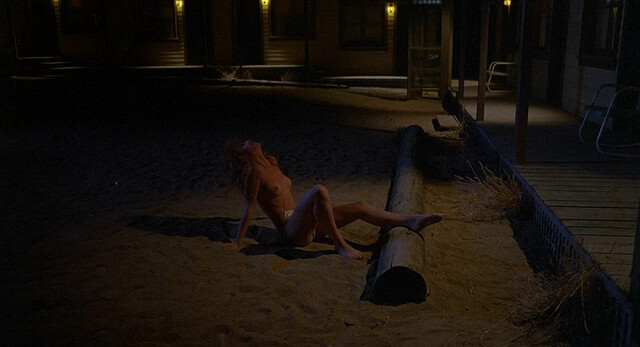 Juliette Cummins nude, Diana Scarwid nude, Katt Shea sexy – Psycho III (1986)