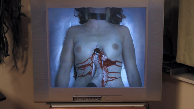 Sarah Schoofs nude, Angie Bullaro nude, Leisa Haddad nude – Gut (2012)