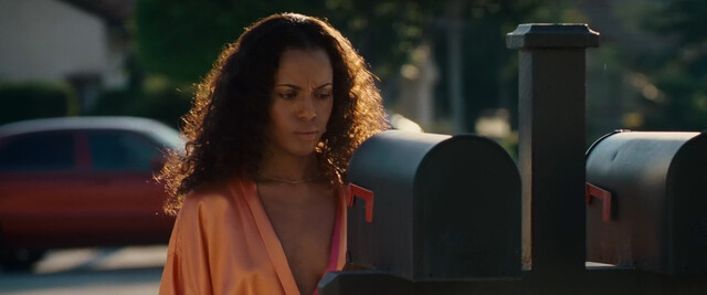 Kerry Washington sexy, Regine Nehy sexy, Wrenna Monet sexy, Tabitha Taylor sexy, Khira Thomas sexy – Lakeview Terrace (2008)