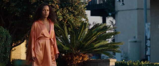 Kerry Washington sexy, Regine Nehy sexy, Wrenna Monet sexy, Tabitha Taylor sexy, Khira Thomas sexy – Lakeview Terrace (2008)