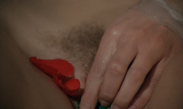 Lisbeth Hummel nude, Pascale Rivault nude– The Beast (La bete) (1975)