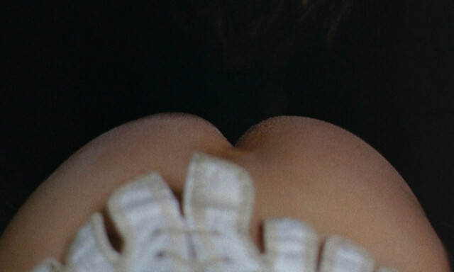 Lisbeth Hummel nude, Pascale Rivault nude– The Beast (La bete) (1975)