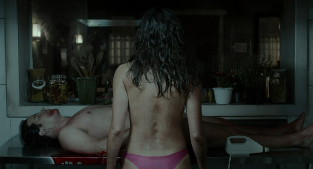 Luciana Paes nude, Camila Morgado nude – The Friendly Beast (O Animal Cordial) (2017)