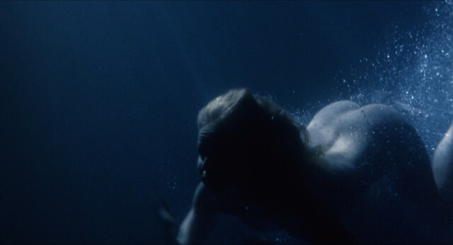 Susan Kiger sexy, Jennifer Chase nude, Penny Miller nude, Jody Kay nude – Death Screams (1982)