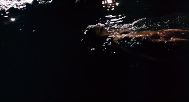 Susan Kiger sexy, Jennifer Chase nude, Penny Miller nude, Jody Kay nude – Death Screams (1982)