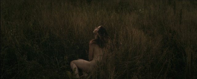 Lisa Carlehed nude – Rainbow Monkeys (2011)