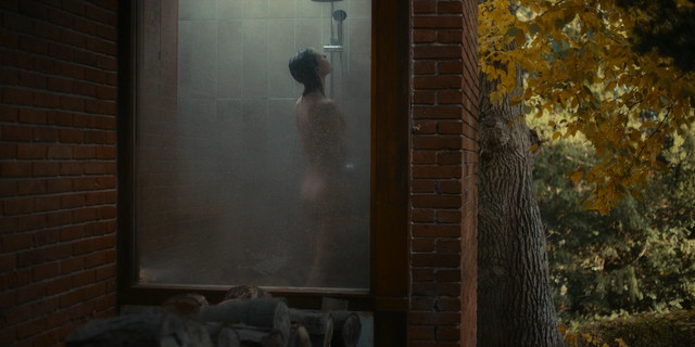 Danica Curcic nude, Pernille Rene sexy, Iben Dorner nude – The Chestnut Man (Kastanjemanden) s01e01e03e05 (2021)