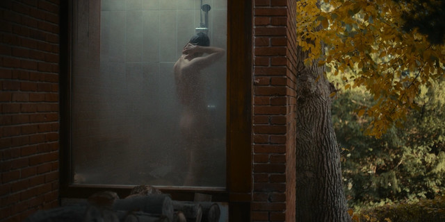 Danica Curcic nude, Pernille Rene sexy, Iben Dorner nude – The Chestnut Man (Kastanjemanden) s01e01e03e05 (2021)
