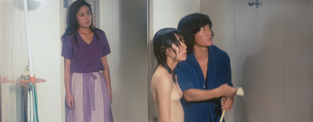 Eri Kanuma nude, Erina Miyai nude, Minako Mizushima nude, etc. – Sometimes... Like a Prostitute (Toki ni wa shofu no yo ni) (1978)