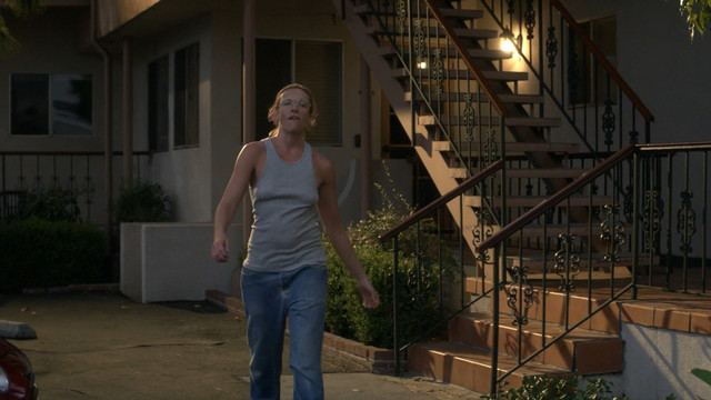 Toni Collette nude, Joey Lauren Adams sexy, Joey Rosemarie DeWitt sexy, Brie Larson sexy – United States of Tara s02e01-10 (2010)
