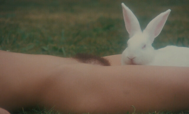 Marina Pierro nude, Gaelle Legrand nude, Pascale Christophe nude – Les heroines du mal (1979)